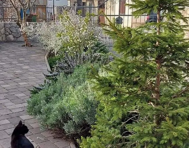 Petrovic Apartament Pirovac