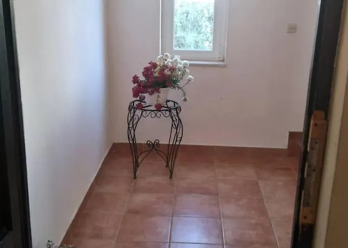 Apartament Petrovic *