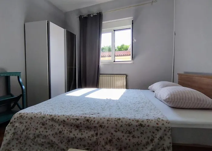 Apartament Petrovic *