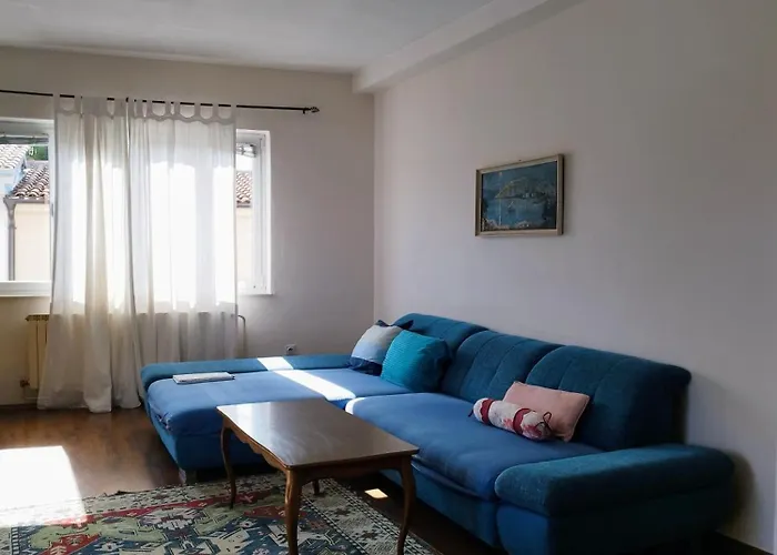 Petrovic Apartament *